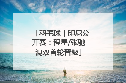 羽毛球｜印尼公开赛：程星/张驰混双首轮晋级
