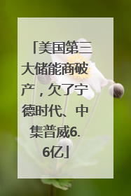 美国第三大储能商破产，欠了宁德时代、中集普威6.6亿