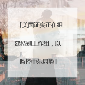 美国证实正在组建特别工作组，以监控中东局势