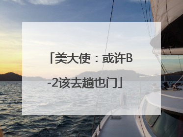 美大使：或许B-2该去趟也门