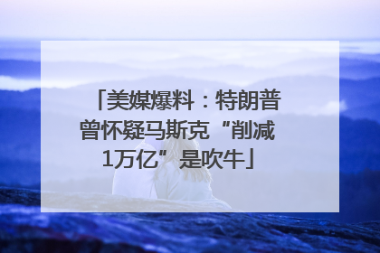 美媒爆料：特朗普曾怀疑马斯克“削减1万亿”是吹牛