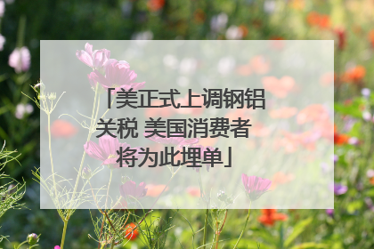 美正式上调钢铝关税 美国消费者将为此埋单