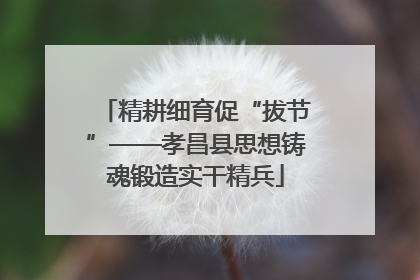 精耕细育促“拔节”——孝昌县思想铸魂锻造实干精兵
