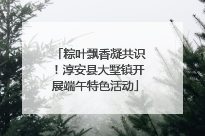 粽叶飘香凝共识！淳安县大墅镇开展端午特色活动