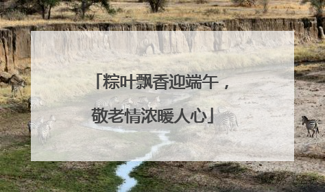粽叶飘香迎端午，敬老情浓暖人心