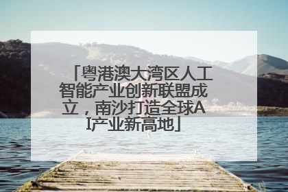 粤港澳大湾区人工智能产业创新联盟成立，南沙打造全球AI产业新高地