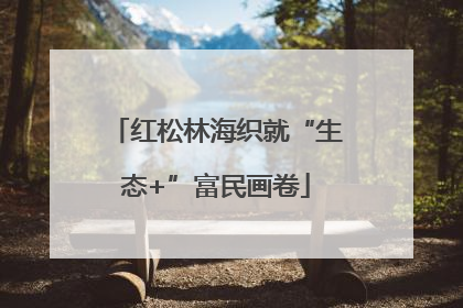 红松林海织就“生态+”富民画卷