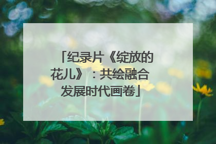 纪录片《绽放的花儿》：共绘融合发展时代画卷