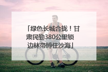 绿色长城合拢！甘肃民勤380公里锁边林带缚住沙海