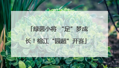 绿茵小将 “足”梦成长！榕江“园超”开赛