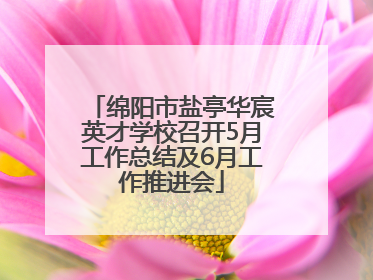 绵阳市盐亭华宸英才学校召开5月工作总结及6月工作推进会