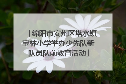 绵阳市安州区塔水镇宝林小学举办少先队新队员队前教育活动