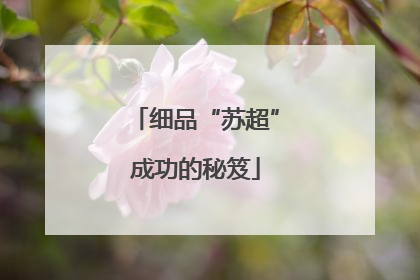 细品“苏超”成功的秘笈