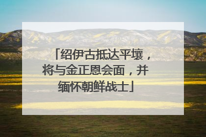 绍伊古抵达平壤，将与金正恩会面，并缅怀朝鲜战士