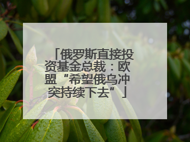 俄罗斯直接投资基金总裁：欧盟“希望俄乌冲突持续下去”