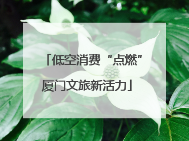 低空消费“点燃”厦门文旅新活力