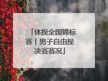 体操全国锦标赛丨男子自由操决赛赛况