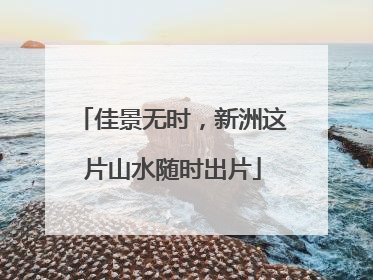 佳景无时，新洲这片山水随时出片