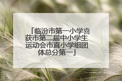 临汾市第一小学喜获市第二届中小学生运动会市直小学组团体总分第一