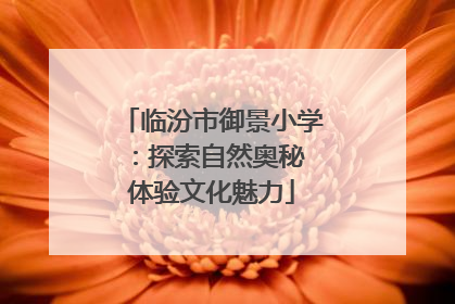 临汾市御景小学：探索自然奥秘 体验文化魅力