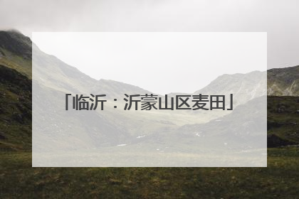 临沂：沂蒙山区麦田