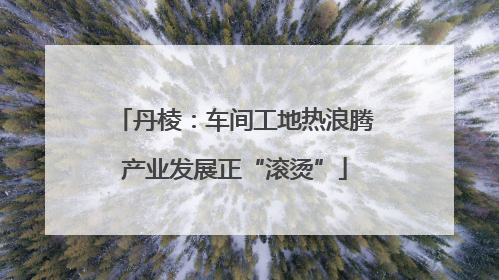 丹棱：车间工地热浪腾产业发展正“滚烫”