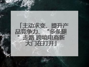 主动求变、提升产品竞争力、“多条腿”走路 跨境电商新大门在打开