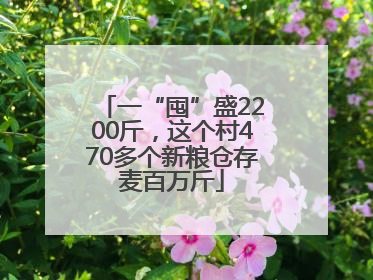 一“囤”盛2200斤，这个村470多个新粮仓存麦百万斤