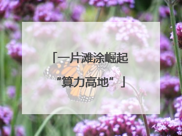 一片滩涂崛起“算力高地”