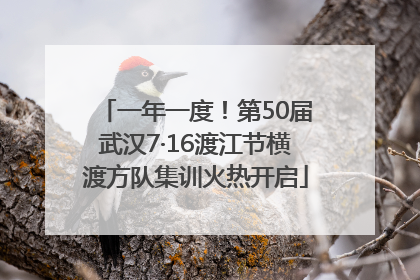 一年一度！第50届武汉7·16渡江节横渡方队集训火热开启