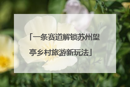 一条赛道解锁苏州望亭乡村旅游新玩法