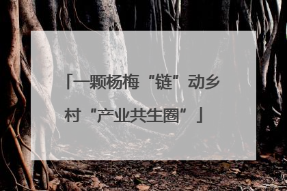 一颗杨梅“链”动乡村“产业共生圈”
