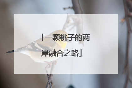 一颗桃子的两岸融合之路