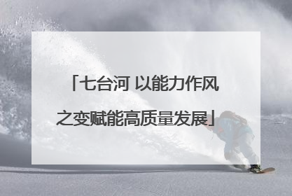 七台河 以能力作风之变赋能高质量发展