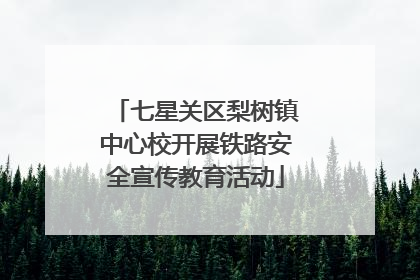 七星关区梨树镇中心校开展铁路安全宣传教育活动