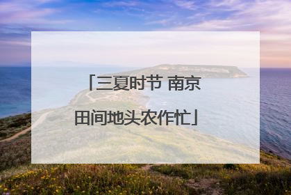 三夏时节 南京田间地头农作忙