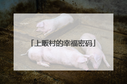 上畈村的幸福密码