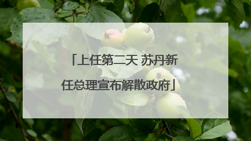 上任第二天 苏丹新任总理宣布解散政府