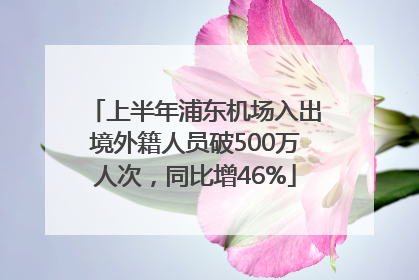 上半年浦东机场入出境外籍人员破500万人次，同比增46%