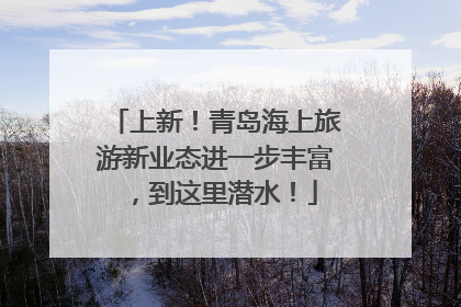上新！青岛海上旅游新业态进一步丰富，到这里潜水！