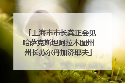 上海市市长龚正会见哈萨克斯坦阿拉木图州州长苏尔丹加济耶夫