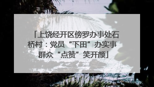 上饶经开区傍罗办事处石桥村：党员“下田”办实事 群众“点赞”笑开颜