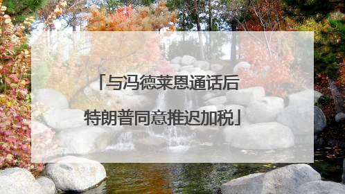 与冯德莱恩通话后 特朗普同意推迟加税