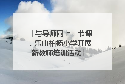 与导师同上一节课，乐山柏杨小学开展新教师培训活动