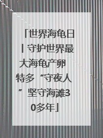 世界海龟日丨守护世界最大海龟产卵 特多“守夜人”坚守海滩30多年