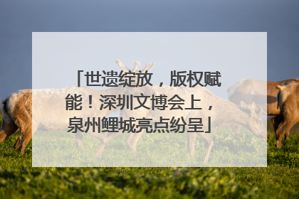 世遗绽放，版权赋能！深圳文博会上，泉州鲤城亮点纷呈
