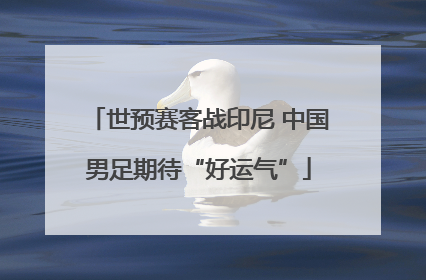 世预赛客战印尼 中国男足期待“好运气”