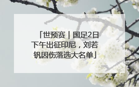世预赛｜国足2日下午出征印尼，刘若钒因伤落选大名单