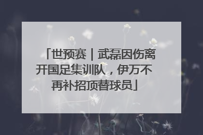 世预赛｜武磊因伤离开国足集训队，伊万不再补招顶替球员