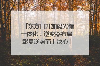 东方日升加码光储一体化：逆变器布局彰显逆势而上决心